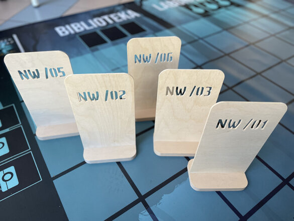 Gra wielkoformatowa: "Kryminalne zagadki Nowego Warpna"