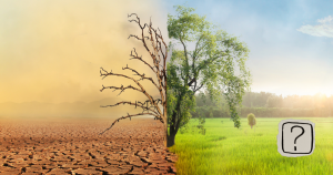 Zmiany klimatu na grafice. Pustynne suche drzewo vs piękny wiosenny krajobraz