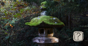 Stara leśna kapliczka porośnięta mchem